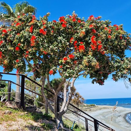 Astrofegia Beachfront Villa Pomos Extérieur photo